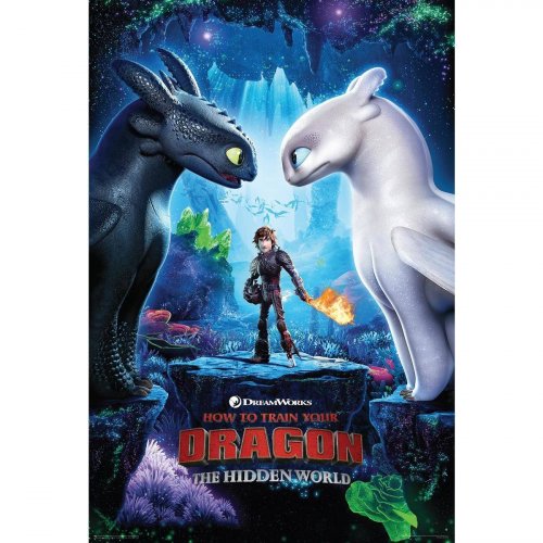 How to train your dragon the hidden world: Friday 14th June | 4.00pm | 201906141600: Admission